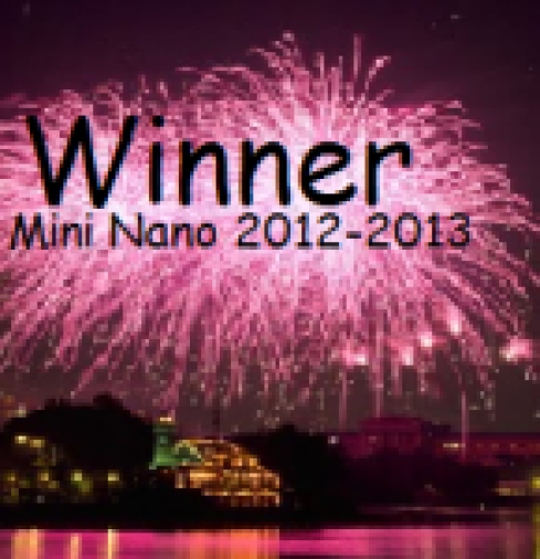 Mini NaNoWriMo 2012-2013